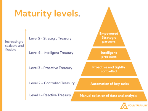 Maturity Triangle