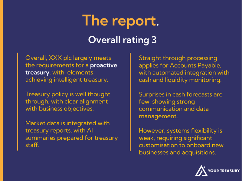 Example report summary